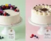 vegan vs eggless cakes