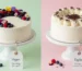 vegan vs eggless cakes