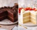 chocolate cake vs vanilla cake