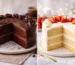 chocolate cake vs vanilla cake